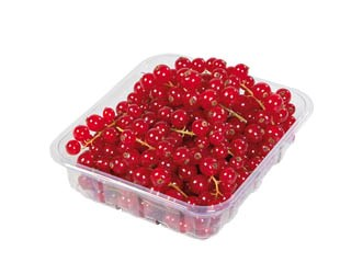 Ríbezle červené čerstvé 125 g vanička