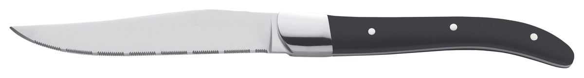 METRO PROFESSIONAL ABS Nôž na steak 10 cm 6 ks