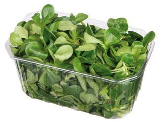 METRO Chef Polníček praný čerstvý 125 g vanička