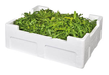 METRO Chef Rukola nepraná čerstvá 1 kg kartón