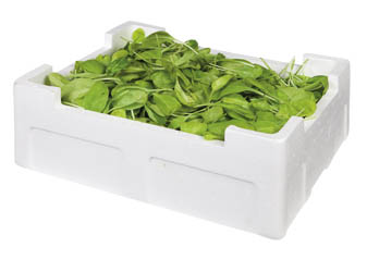 METRO Chef Špenát baby nepraný čerstvý 1 kg kartón