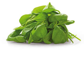 METRO Chef Špenát baby praný čerstvý 200 g vrecko