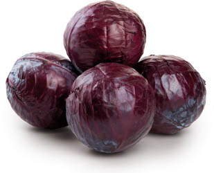 Kapusta hlávková červená čerstvá 15 kg sieť