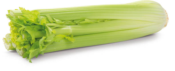 Zeler stopkový čerstvý 400g+ 1 ks