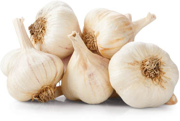 Cesnak biely 55+ čerstvý 2 kg