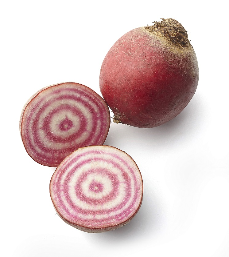 Cvikla/ repa červená Chioggia 100/300 čerstvá 500 g