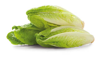 Šalátové srdiečka I. ES čerstvé 6 ks vanička