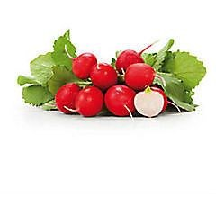 Reďkovka s vňaťou čerstvá 1 ks zväzok