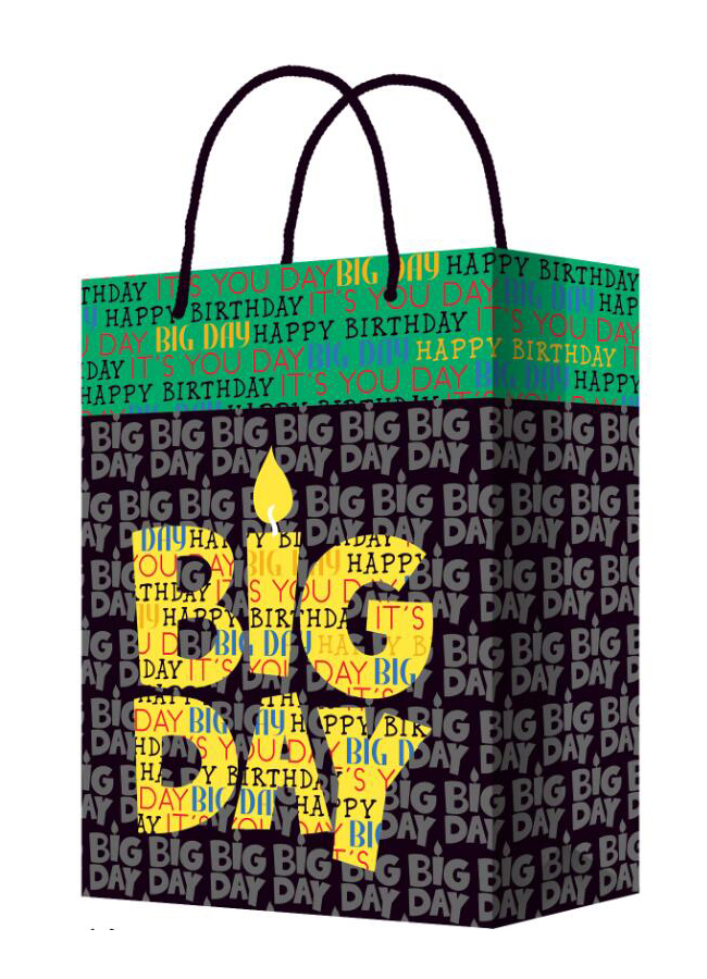 Flexio Darčeková taška M 209496 1 ks