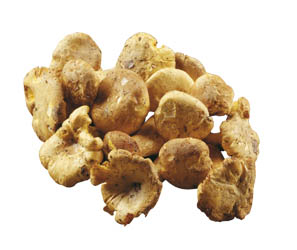 Kuriatko obecné čerstvé 250 g