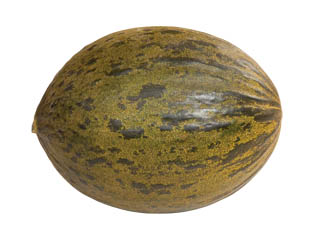 Melón Piel de Sapo čerstvý váž. kg/ ks