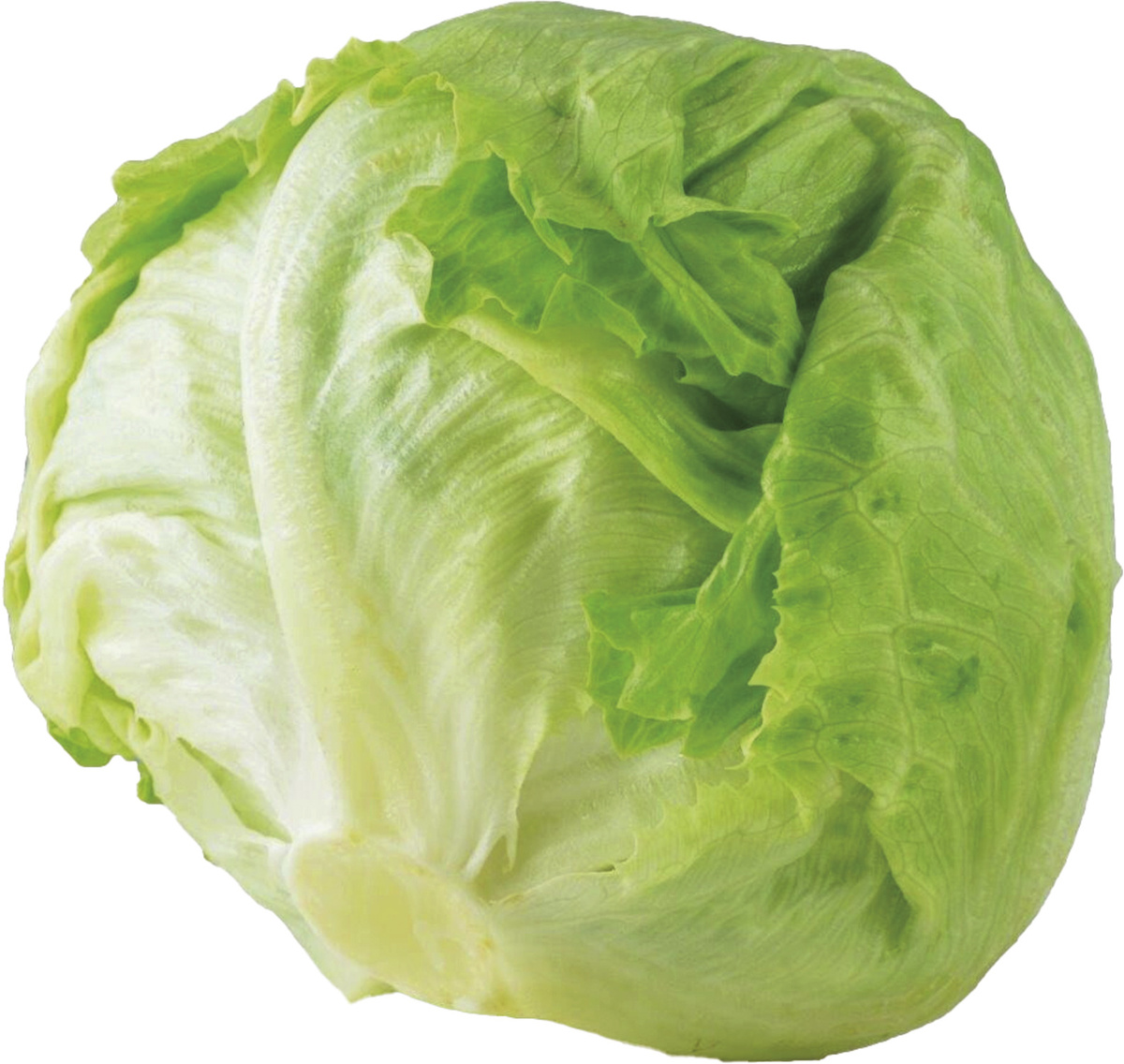 Šalát ľadový 300+ I. SK čerstvý 1 ks