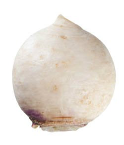 Kvaka čerstvá váž. cca 1 kg