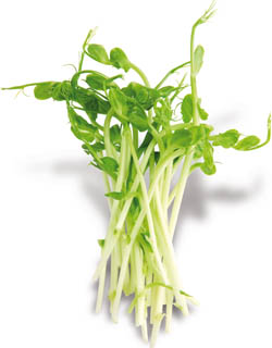 METRO Chef Výhonky hrášku zeleného čerstvé 100 g