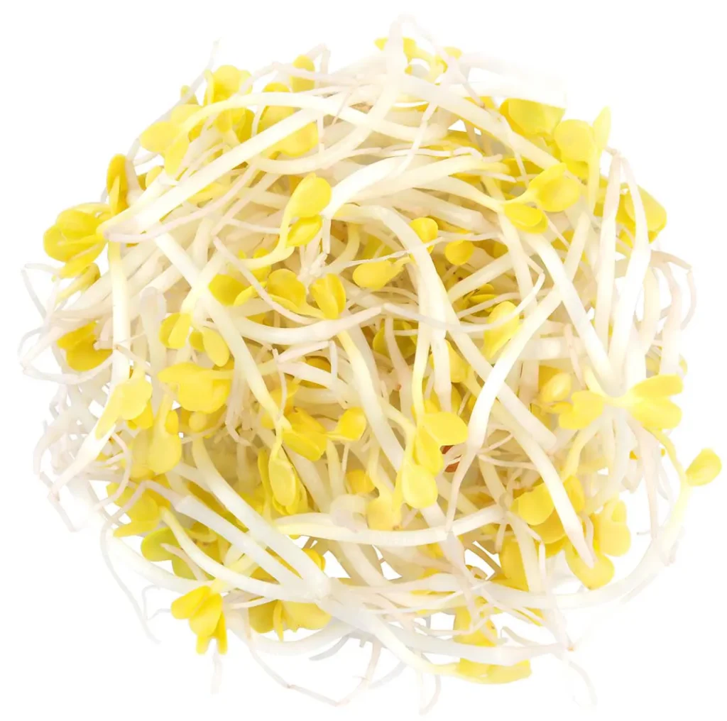 METRO Chef Klíčky reďkovky žltej čerstvé 100 g