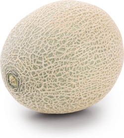 Melón cukrový Cantaloupe 800g+ čerstvý váž. cca kg/ ks