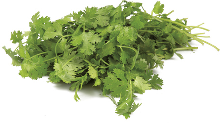 METRO Chef Koriander čerstvý 1 kg