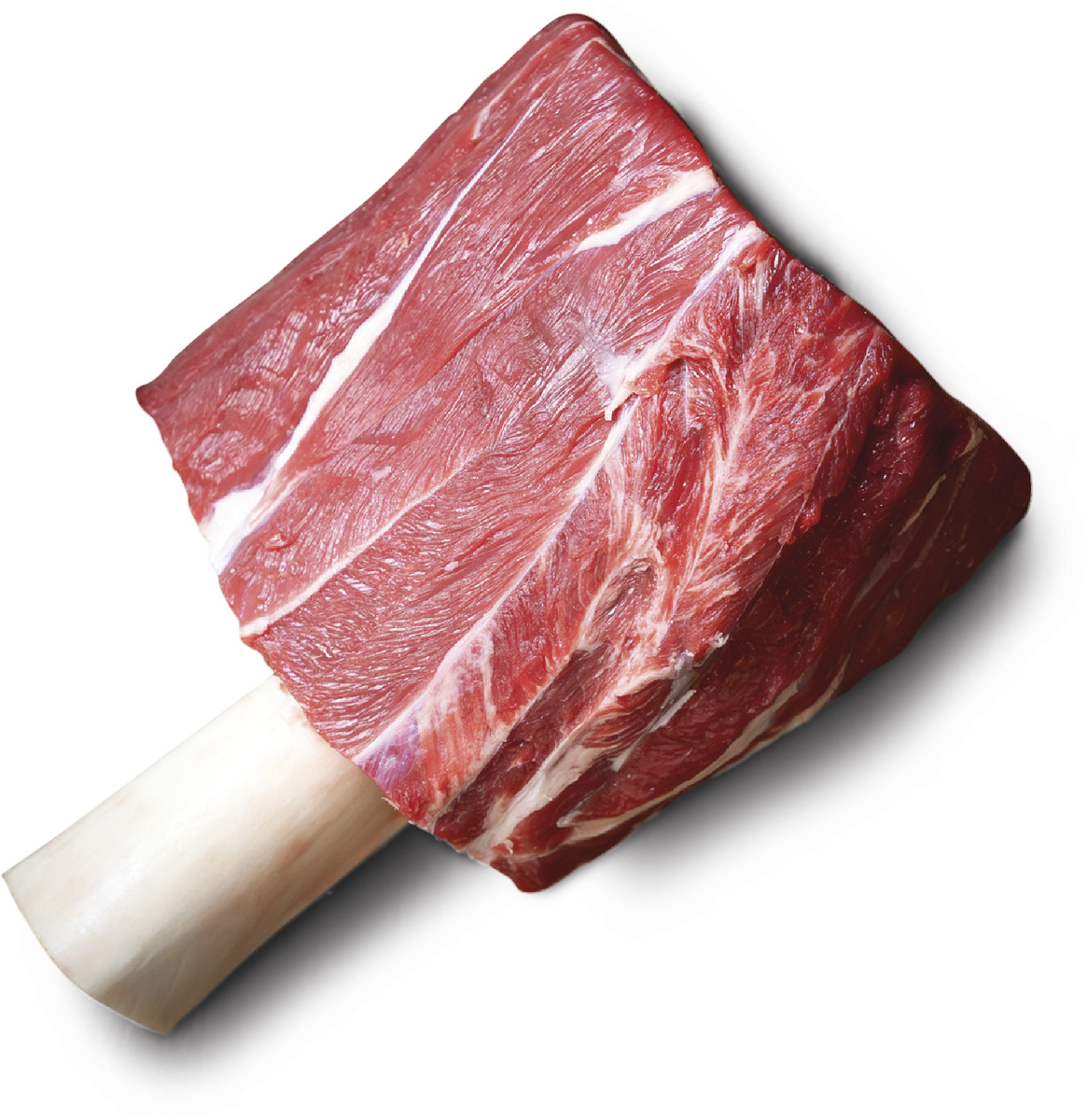 *HOV.PRED.NOŽINA-THOROVO KLADIVO