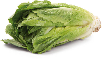 METRO Chef Šalát rímsky 300+ I. čerstvý 1 ks