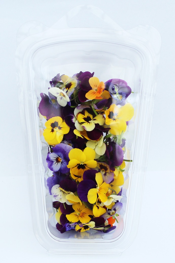 Jedlé kvety Viola mix čerstvé 6 g