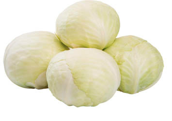 Kapusta hlávková biela čerstvá 15 kg