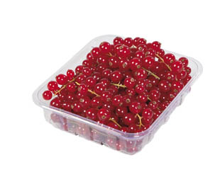 Ríbezle čerstvé 125 g vanička