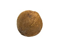 Kokosový orech 400+ CI čerstvý 1x1 ks