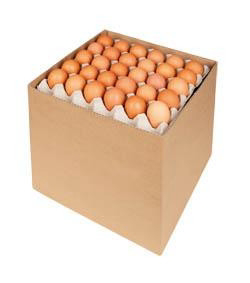 aro Vajcia M chlad. 180 ks