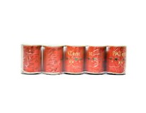 Pat paradajkové pyré 14-24% 10x140 g