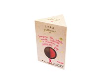Lyra Gulliver Praline malina/horká čokoláda 1x100 g