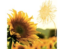 Duni servítky Dusk Sunflower 3-vrstvové 33cm 20ks