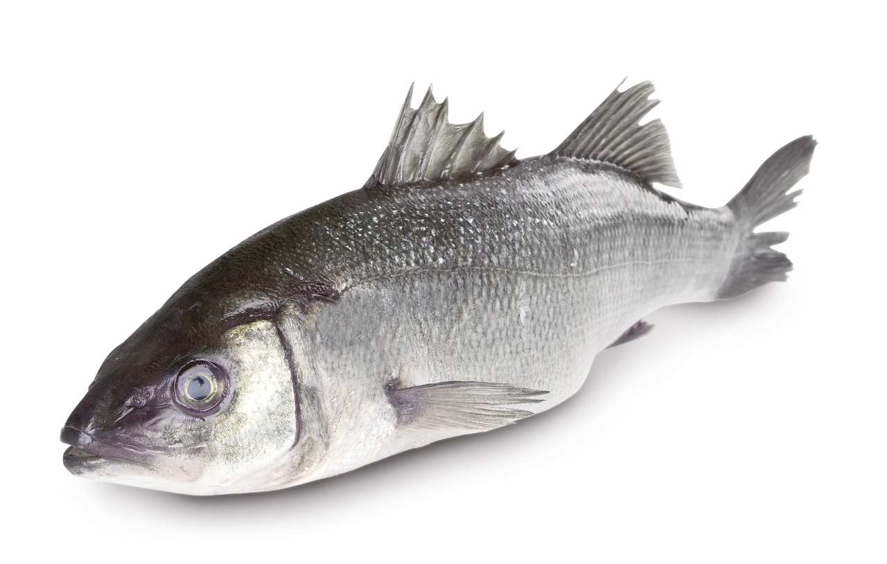 METRO Premium Morský vlk CHOR ASC chlad. váž. cca 250-330 g