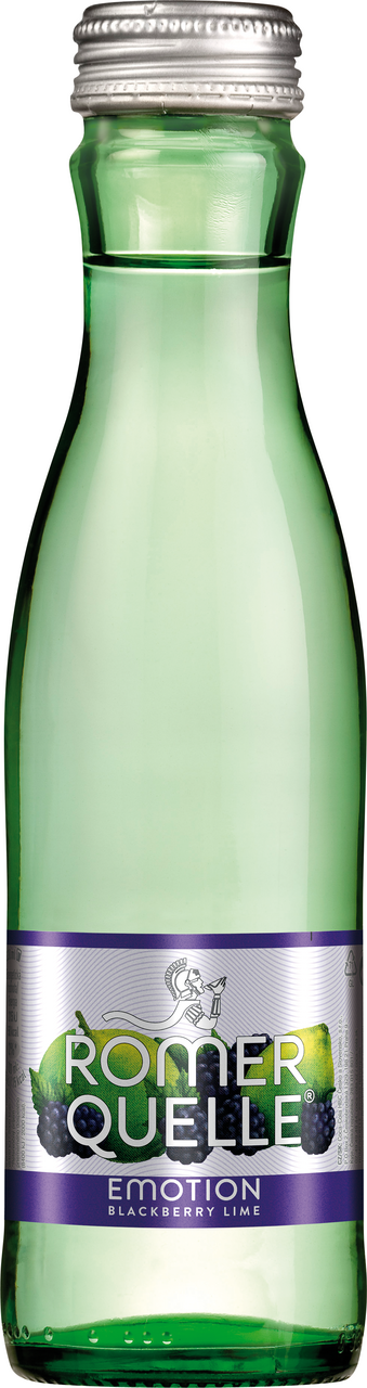RÖMERQUELLE Pramenitá minerálna voda blackberry 20 x 330 ml SKLO