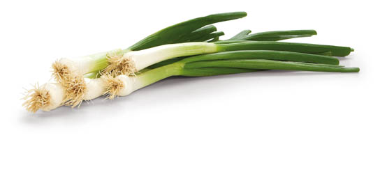 Cibuľka lahôdková SK čerstvá 1 ks zväzok