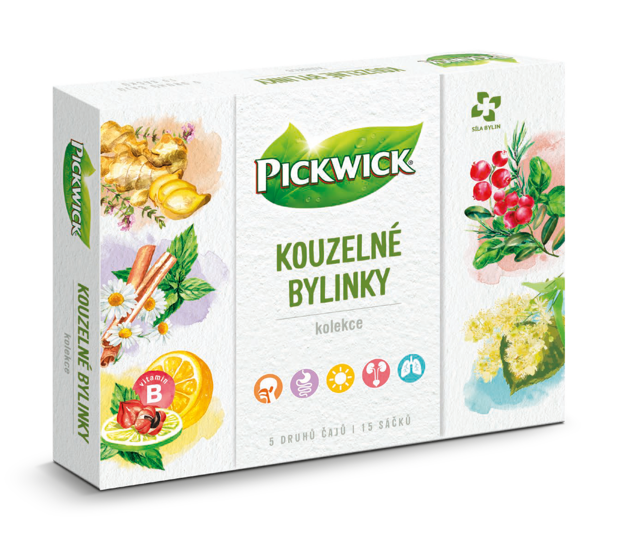 PICKWICK Kúzelné bylinky mix čajov 29 g