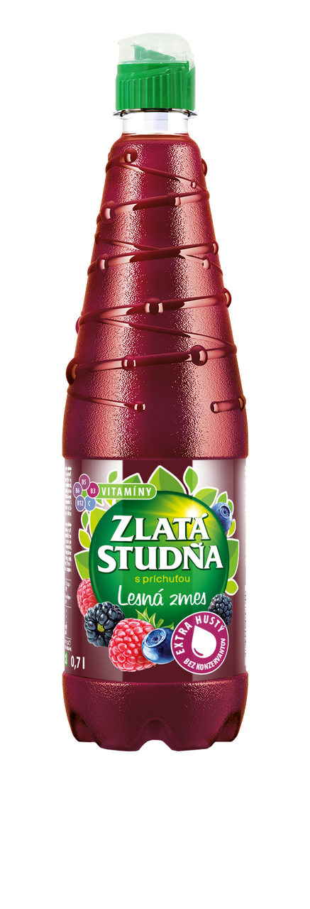 ZLATÁ STUDŇA Sirup s vitamínmi lesná zmes 6 x 700 ml
