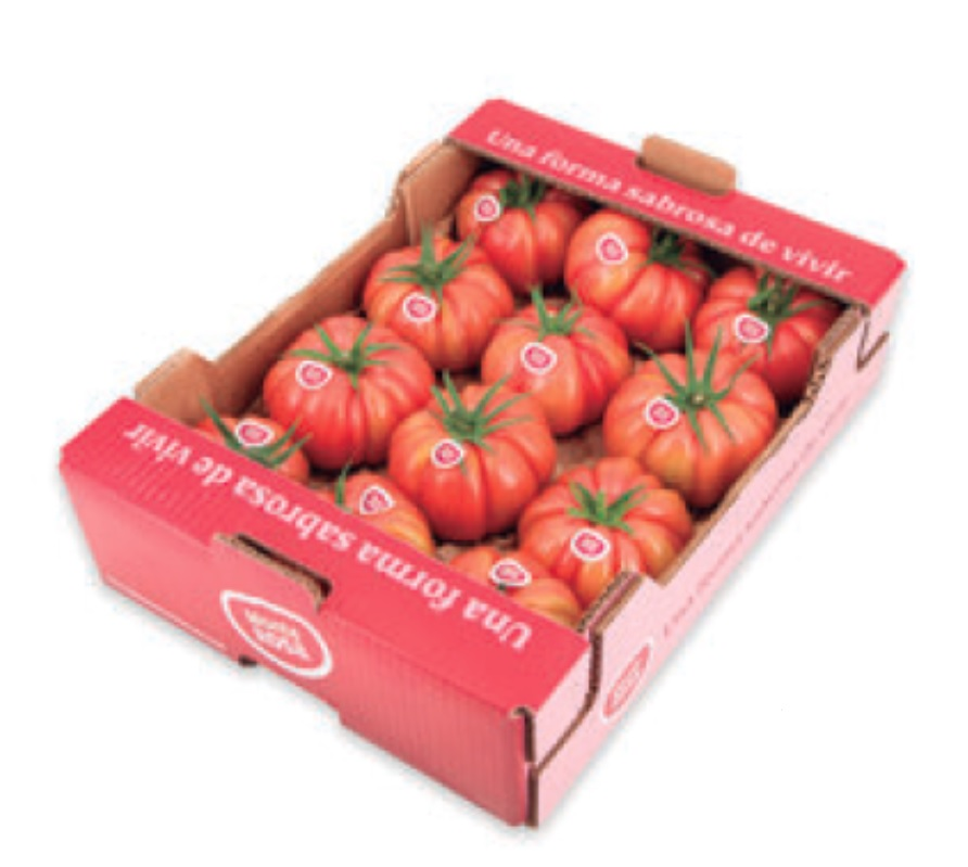 Rajčiny Monterrosa ružové čerstvé 3 kg
