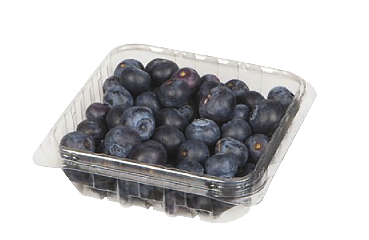 Čučoriedky kanadské čerstvé 125 g vanička