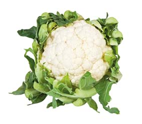 Karfiol biely 13 cm čerstvý 1 ks