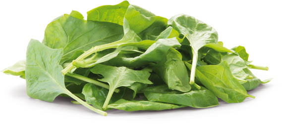 Špenátové listy balené čerstvé 500 g vrecko