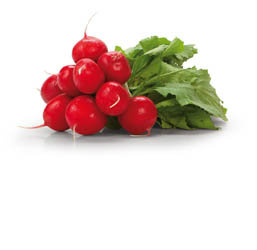 Reďkovka s vňaťou čerstvá 1 ks zväzok