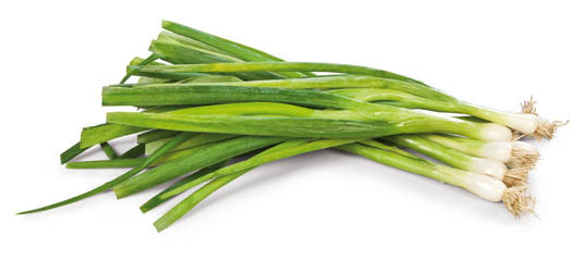 Cibuľa lahôdková IT/ EG čerstvá 1 ks zväzok