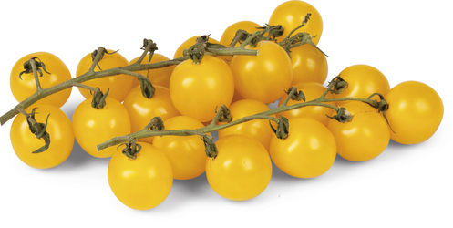Rajčiny cherry žlté kríčkové čerstvé 1,5 kg