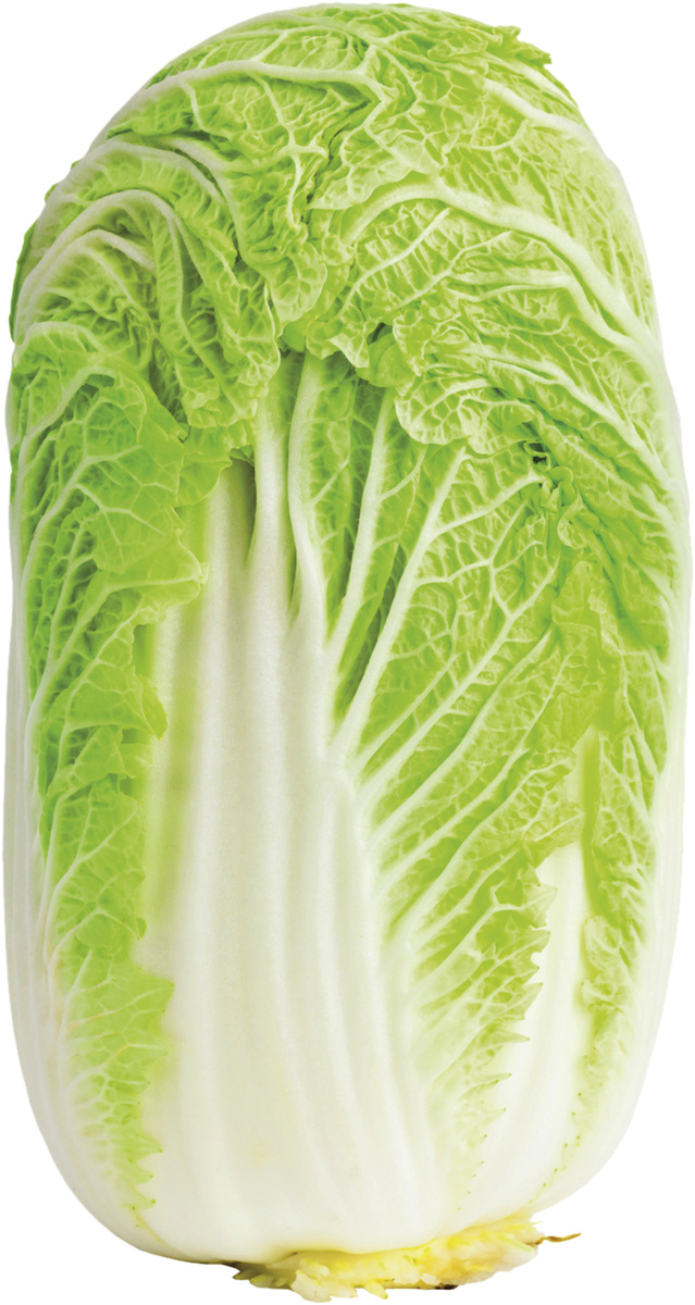 Kapusta pekinská čerstvá váž. kg / ks