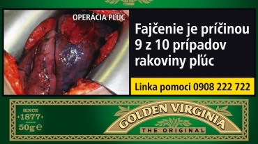 GOLDEN VIRGINIA tabak kolok H 10 x 50 g