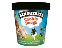 Ben&Jerry's Cookie dough zmrzlina mraz. 1x465 ml