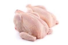 Hydina Slovensko Kurča duo bez drobov chlad. váž. cca 3 kg 