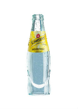Schweppes tonic limonáda 24 x 250 ml SKLO