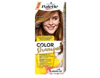 Palette Color šampón 317 orieškovo-plavá 1x1 ks