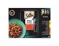 Sheba Select Slices šťavnatý výber kapsičky 12 x 85 g
